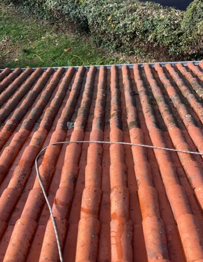 Toiture couverte de mousse avant traitement anti-mousse.